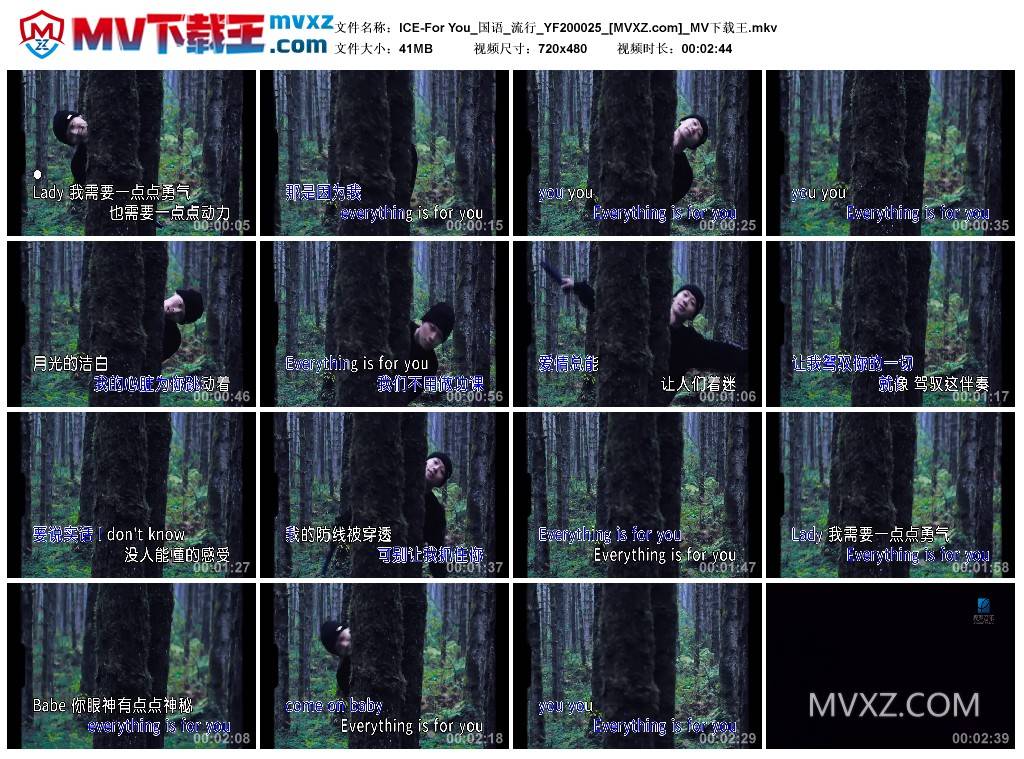 ICE-For You_国语_流行_YF200025